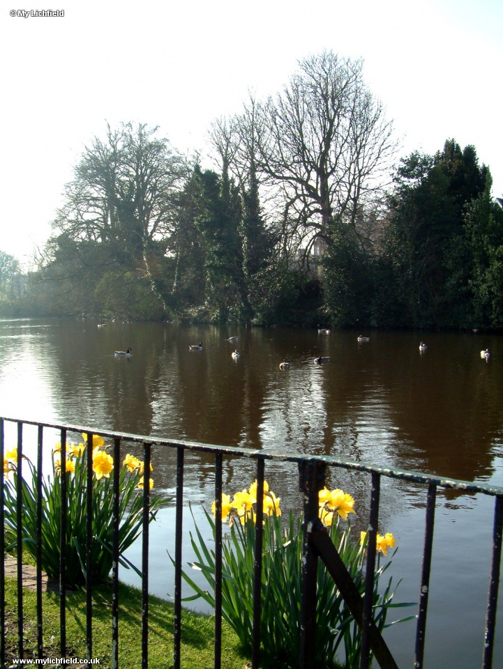 5 Minster Pool